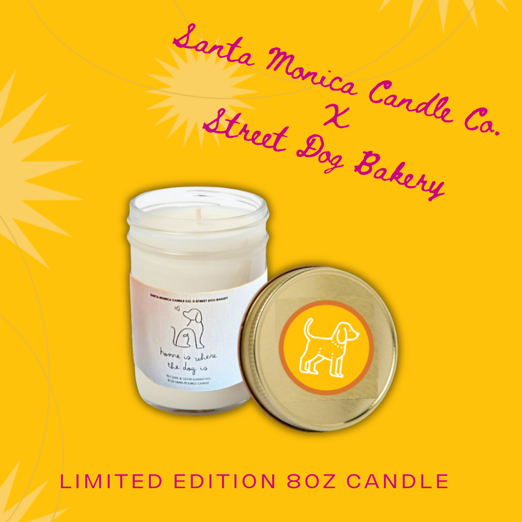 Home is Where the Dog Is: Pet Safe-Candle