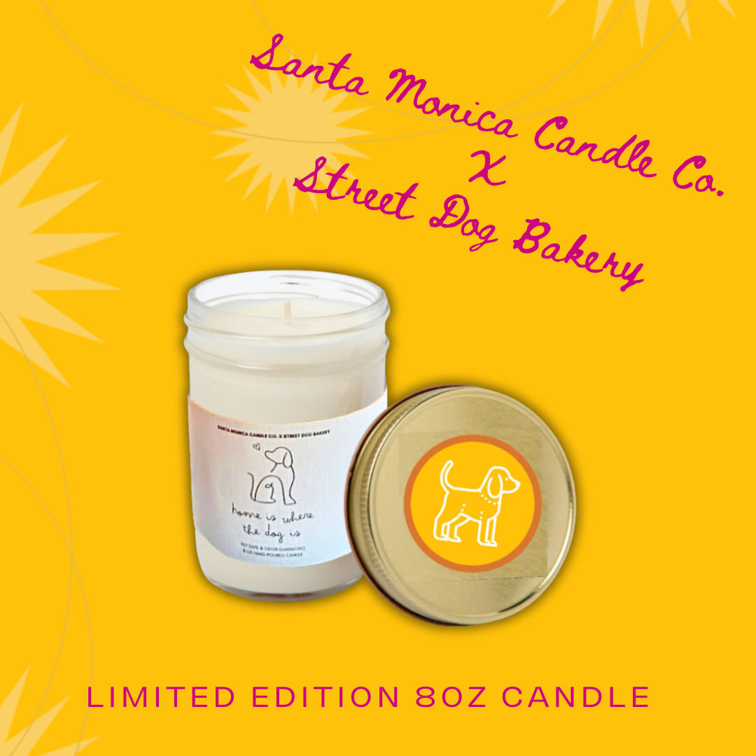 Home is Where the Dog Is: Pet Safe-Candle