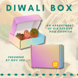 2023 Diwali Box!