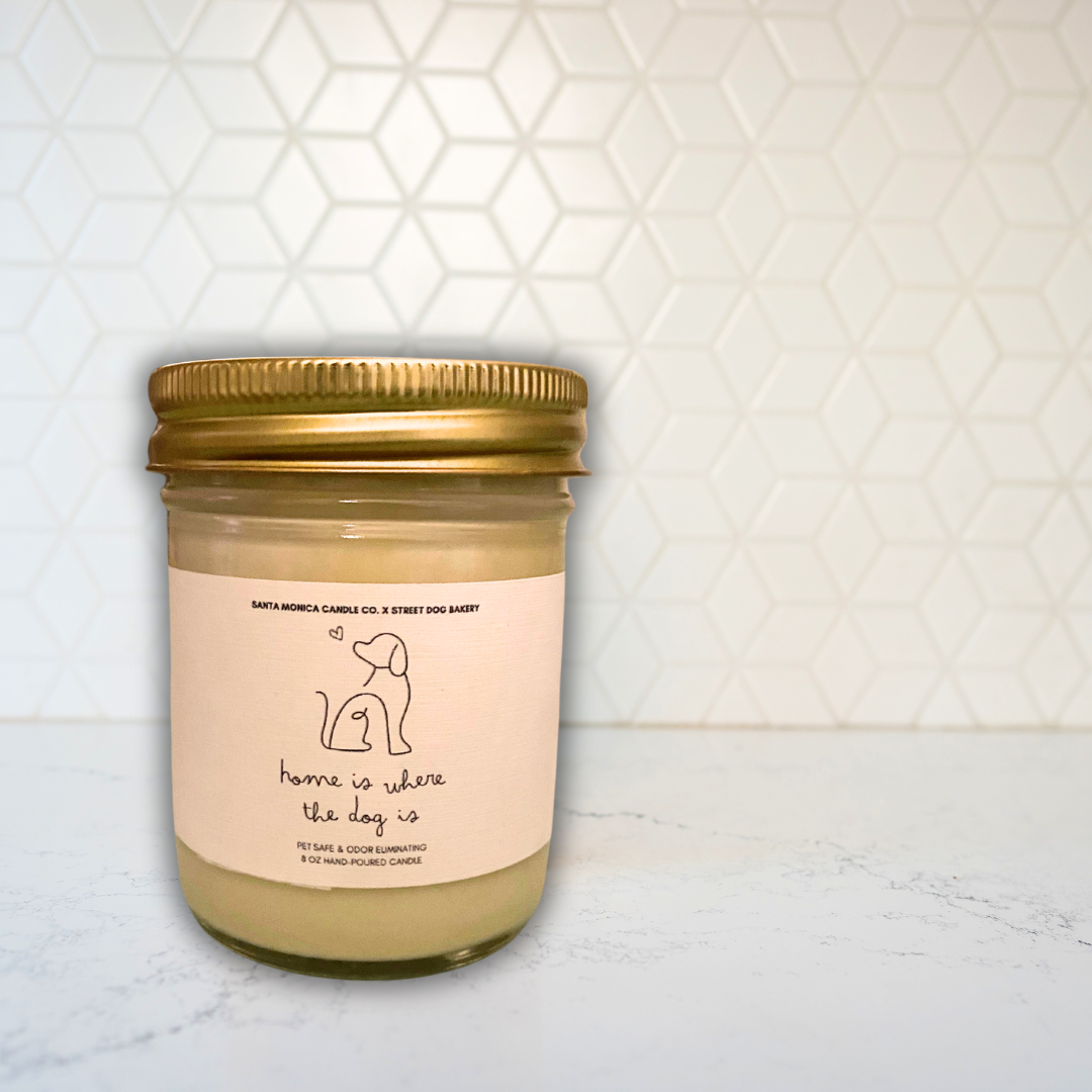 Home is Where the Dog Is: Pet Safe-Candle