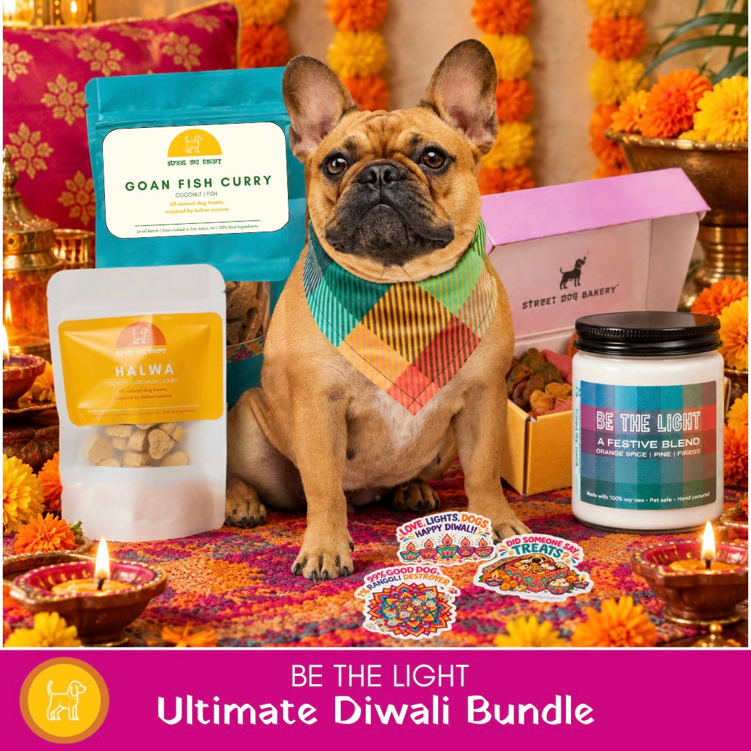 Be the Light: Ultimate Diwali Bundle