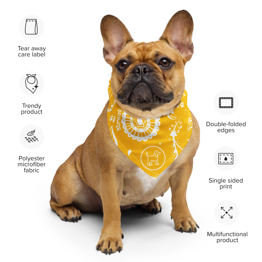 Paisley Logo Bandana
