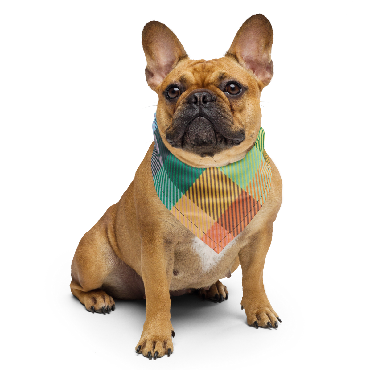 Be the Light: Dog Bandana