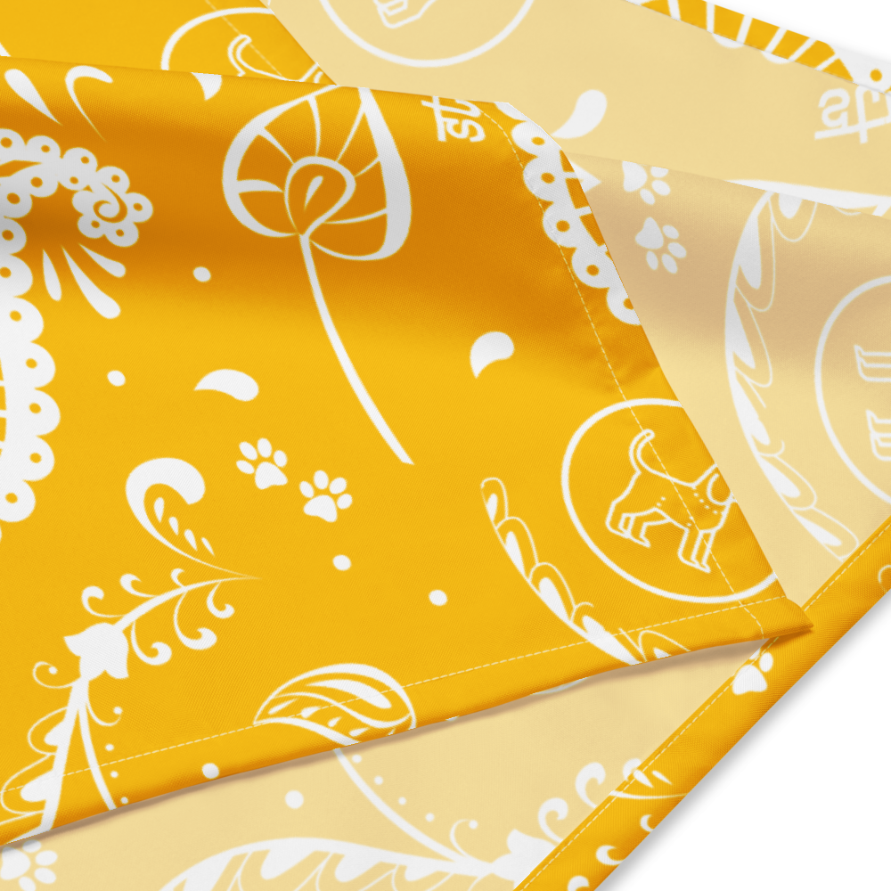 Paisley Logo Bandana